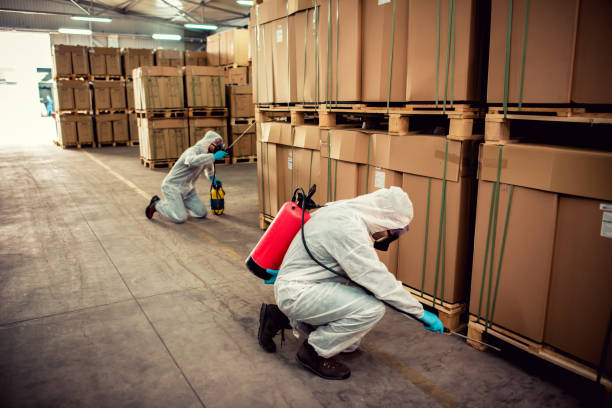 Best Cockroach Control Services  in Ransomville, NY