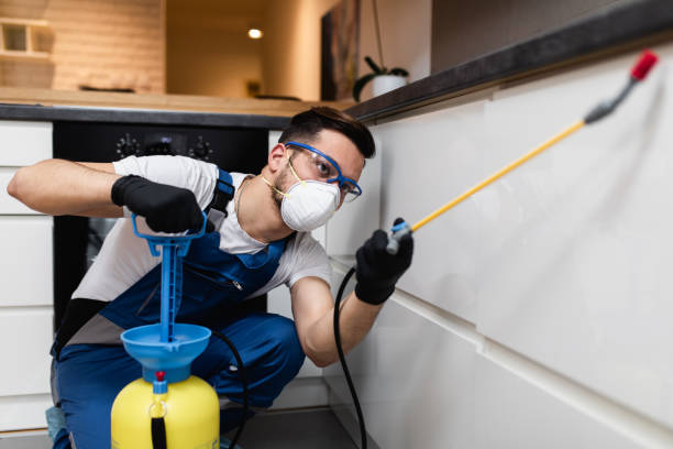 Flea Control Services in Ransomville, NY