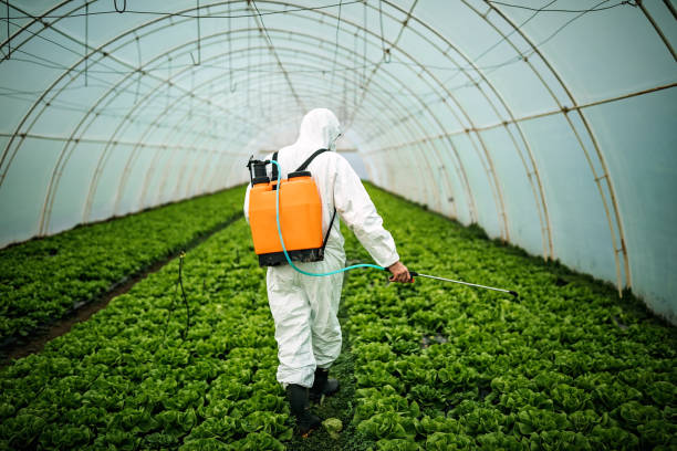 Best Best Pest Control Companies  in Ransomville, NY