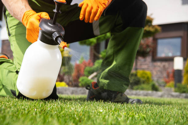 Best Spider Control Near Me  in Ransomville, NY