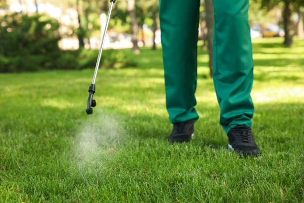 Best Pest Control Cost  in Ransomville, NY