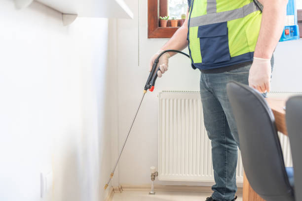 Best Local Pest Control Services  in Ransomville, NY