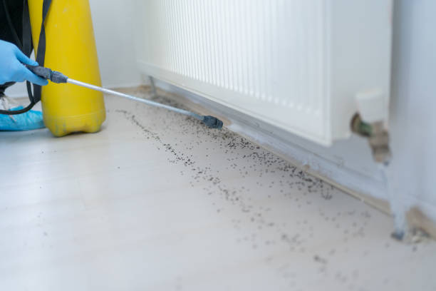 Best Pest Removal Services  in Ransomville, NY