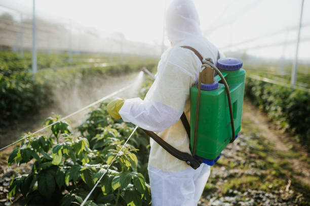 Best Affordable Pest Control Services  in Ransomville, NY